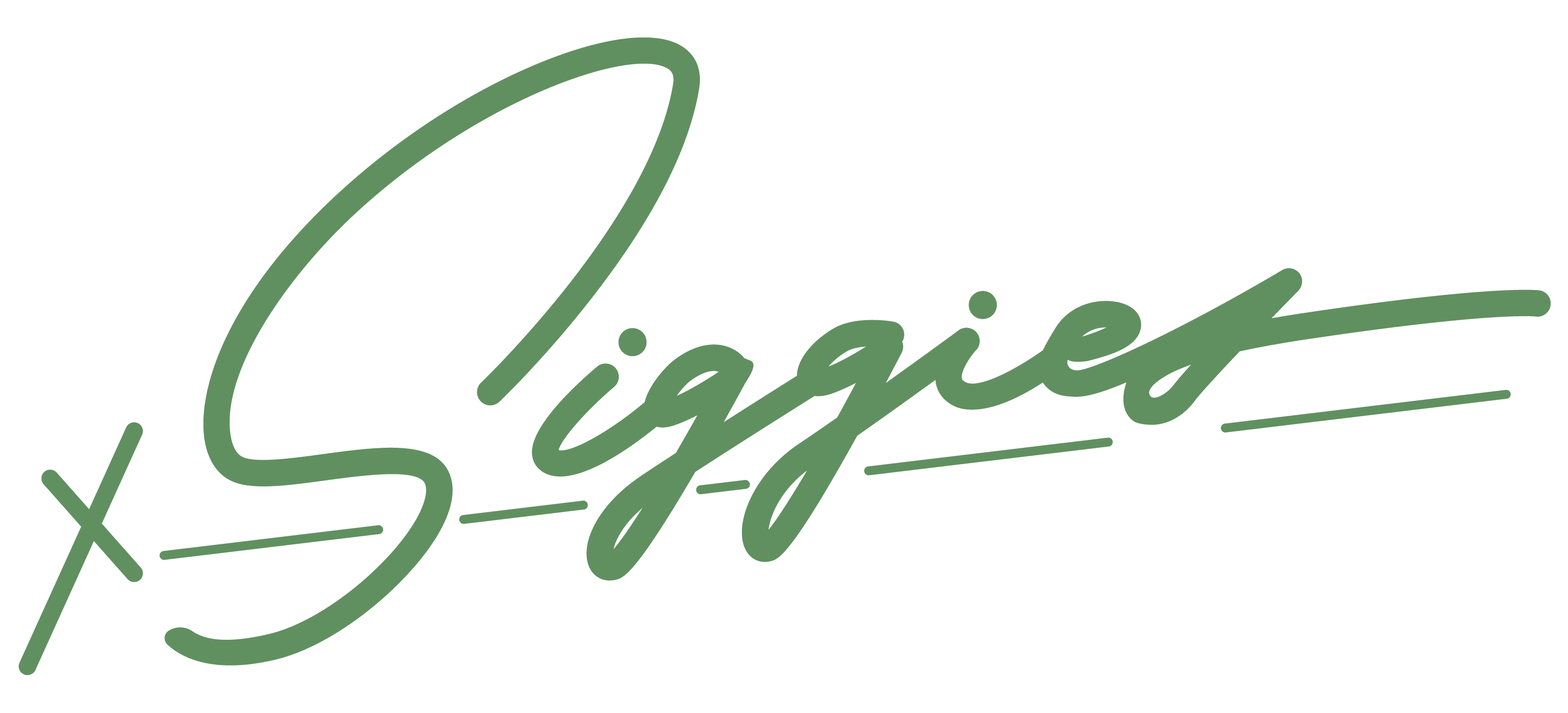 Siggies Logo